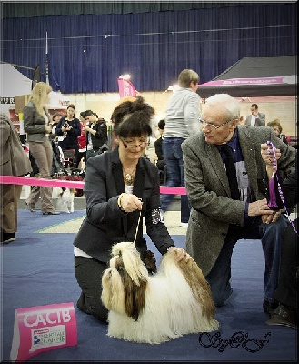 Tarmania - EXPO BOURG EN BRESSE 15 02 2014